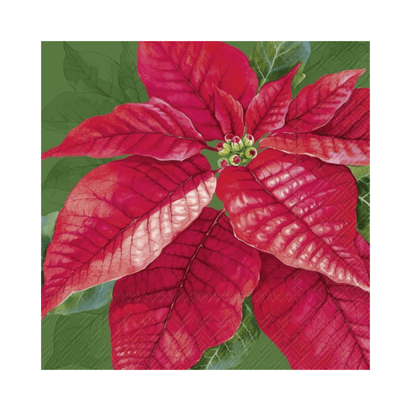 IHR Luncheon Elegant Poinsettia Napkins Pack of 20