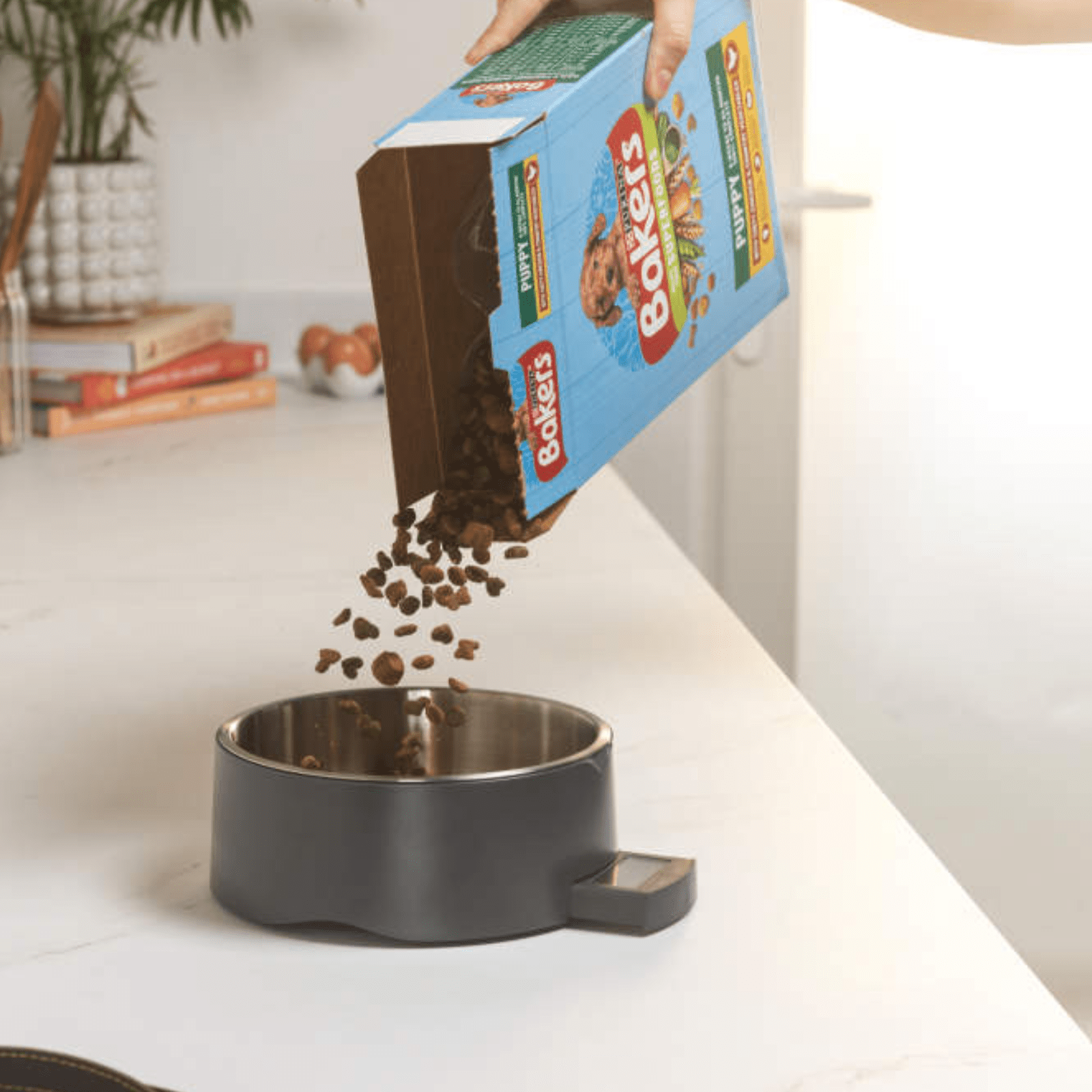 Salter Digital Pet Food Scale