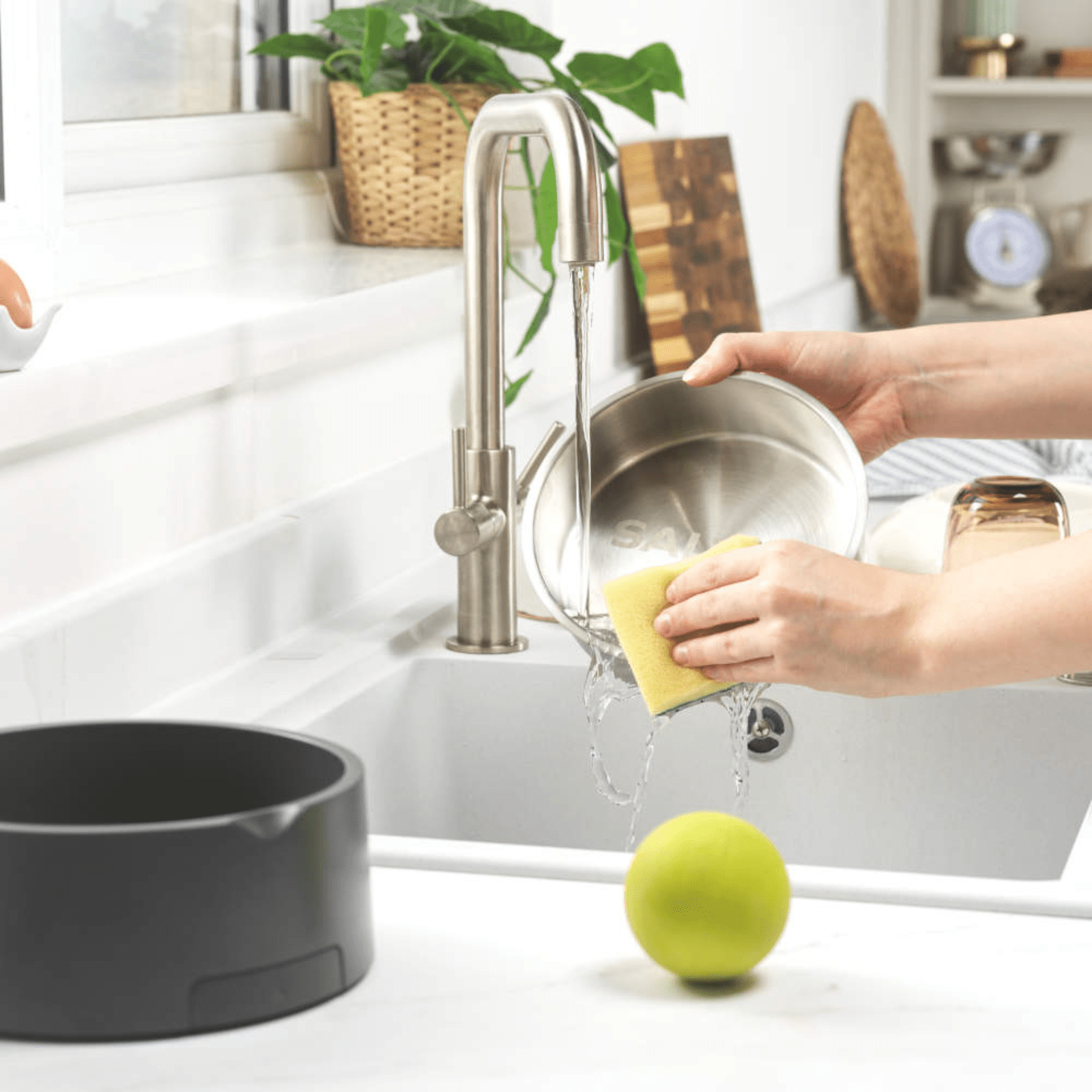 Salter Digital Pet Food Scale