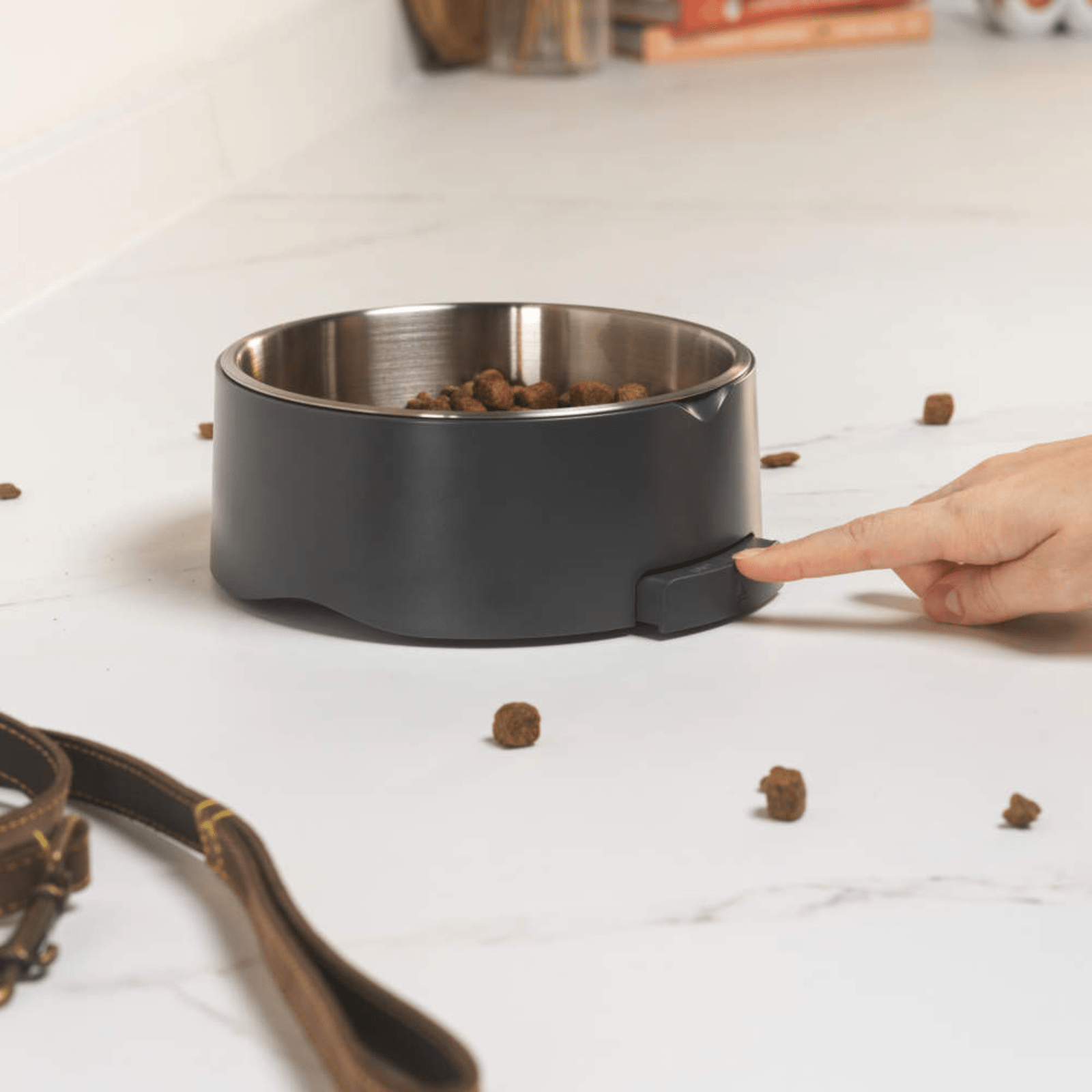 Salter Digital Pet Food Scale