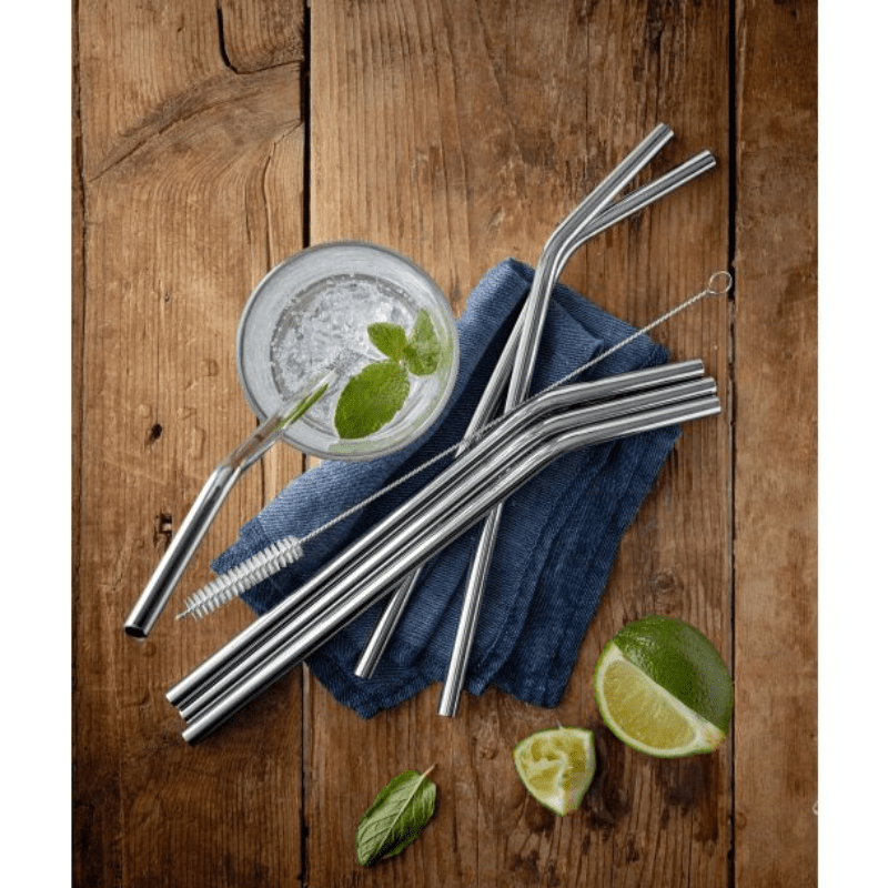 WMF Baric Reusable Straws Set 6-Piece 24cm with Cleaning Brush