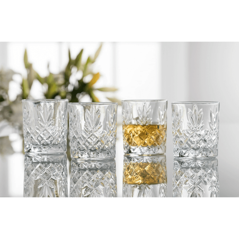 Galway Crystal Renmore Double Old Fashion Set of 4 The Homestore Auckland