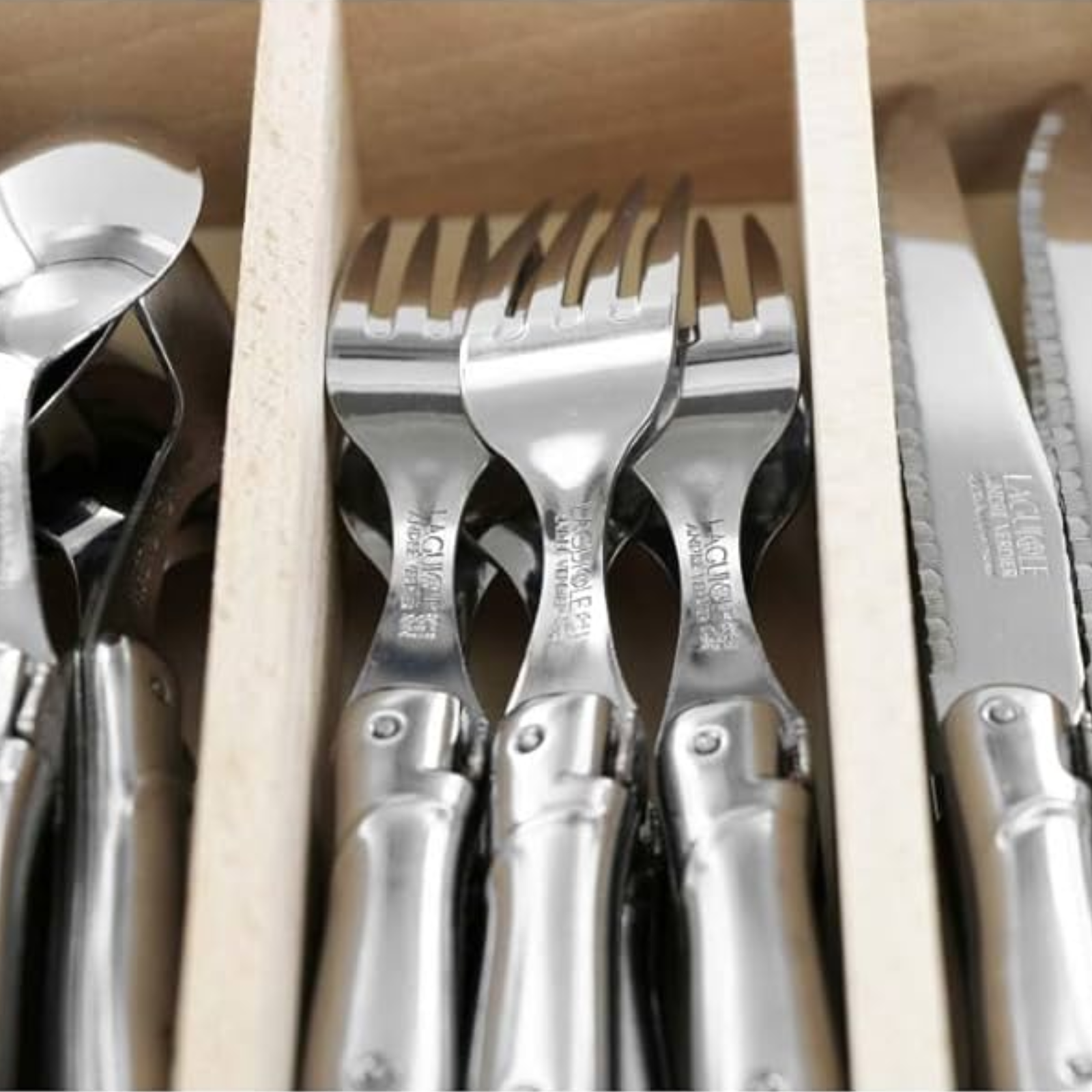 Andre Verdier Laguiole Debutant Inox