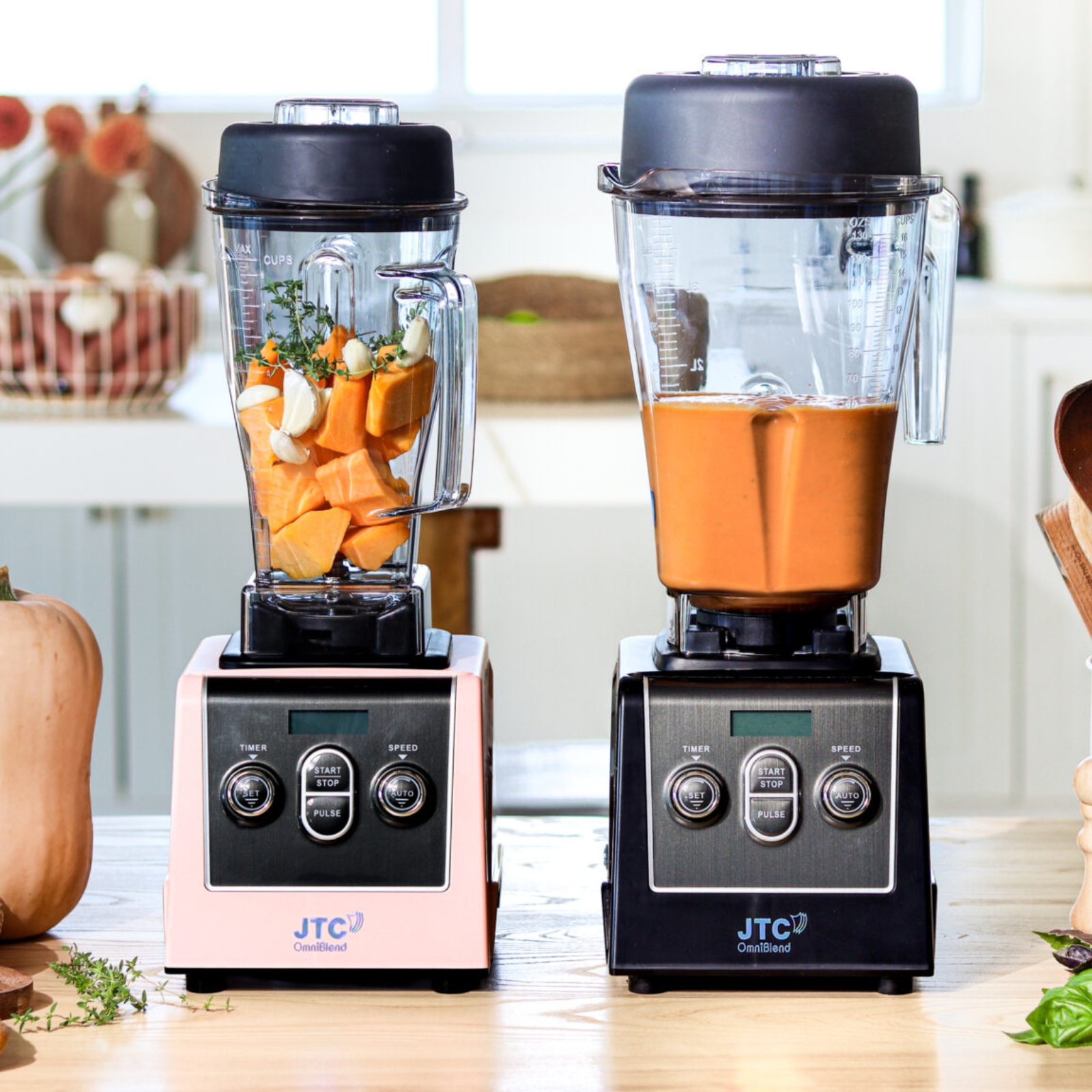 OmniBlend BPA-Free Blender Jug