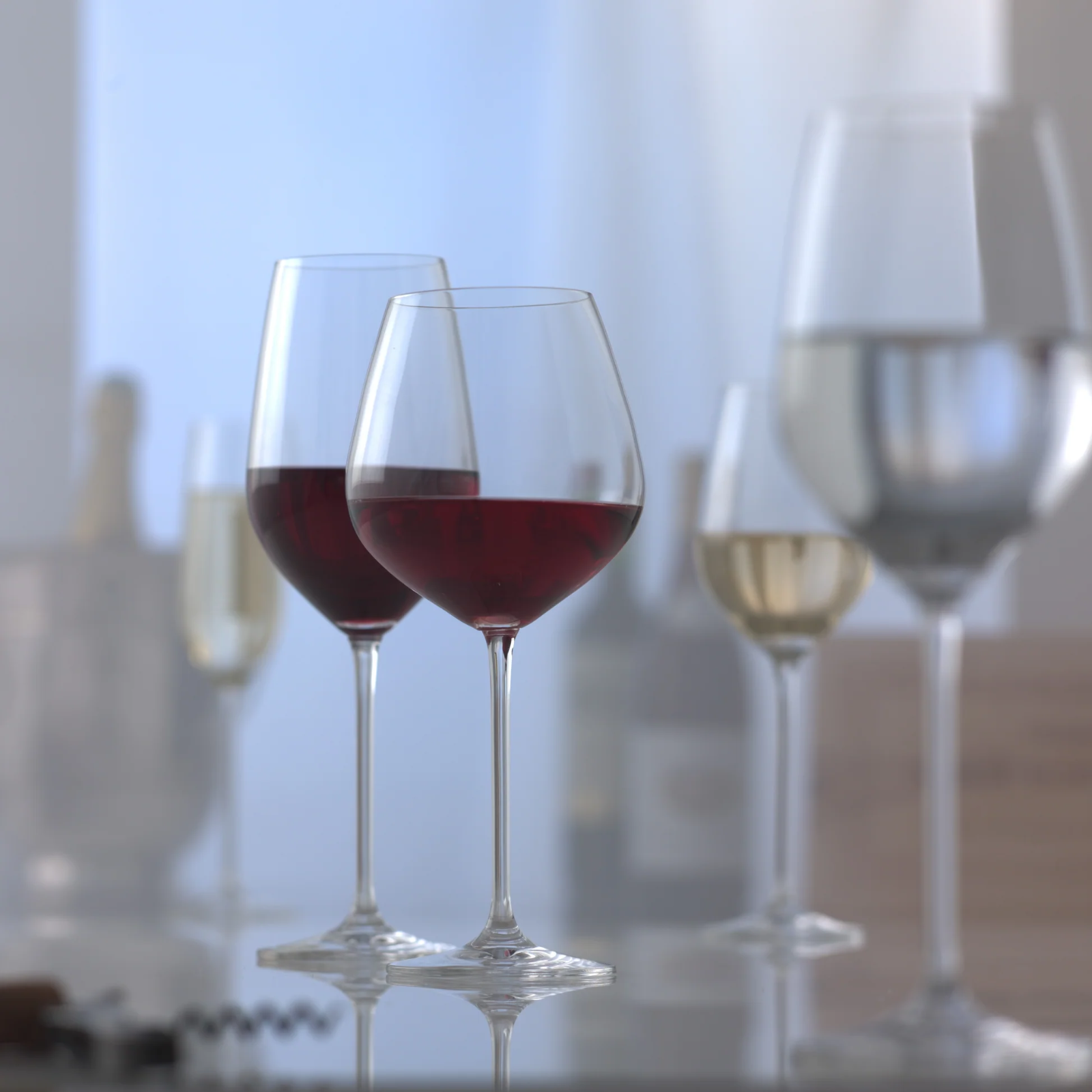 Schott Zwiesel Fortissimo