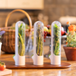 Prepara Herb Savor Pod 2.0 3-Pack