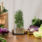 Prepara Herb Savor Stainless Steel