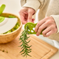 Prepara Herbs N' Greens Cool Tool