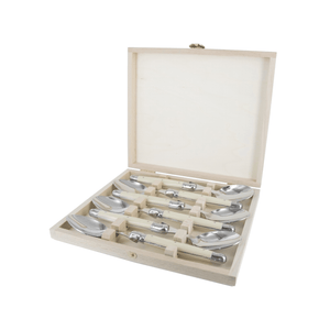 Andre Verdier Laguiole Classique Dinner Spoon Set of 6 Ivory