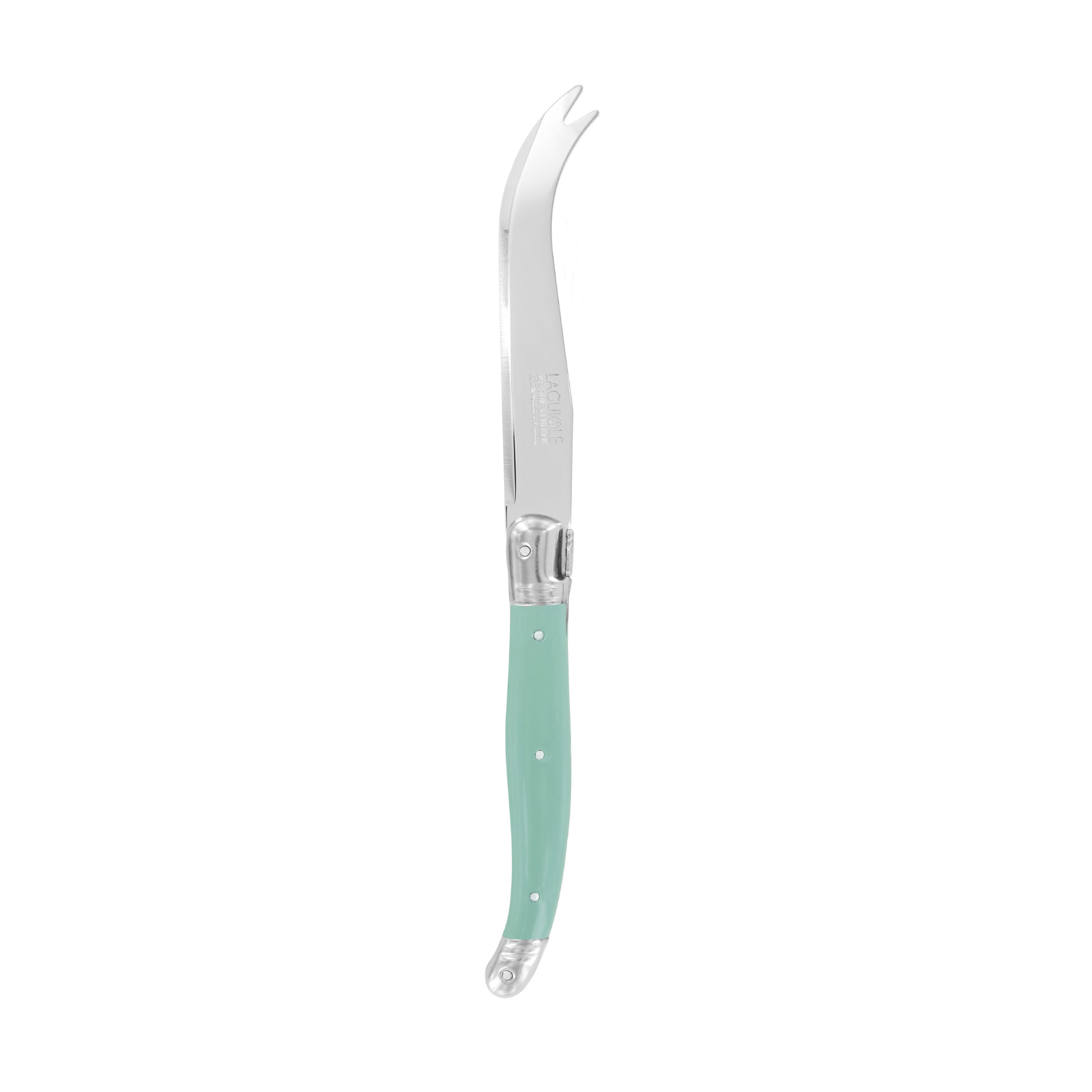 Andre Verdier Laguiole Debutant Cheese Knife Mint Green