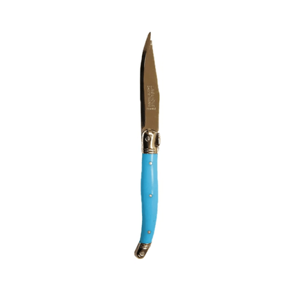 Andre Verdier Laguiole Debutant Fruit Knife Blue