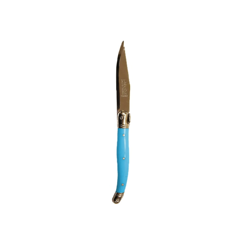 Andre Verdier Laguiole Debutant Fruit Knife Blue