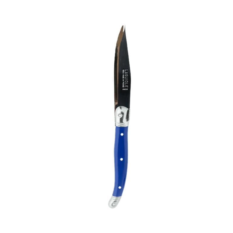 Andre Verdier Laguiole Debutant Fruit Knife Navy