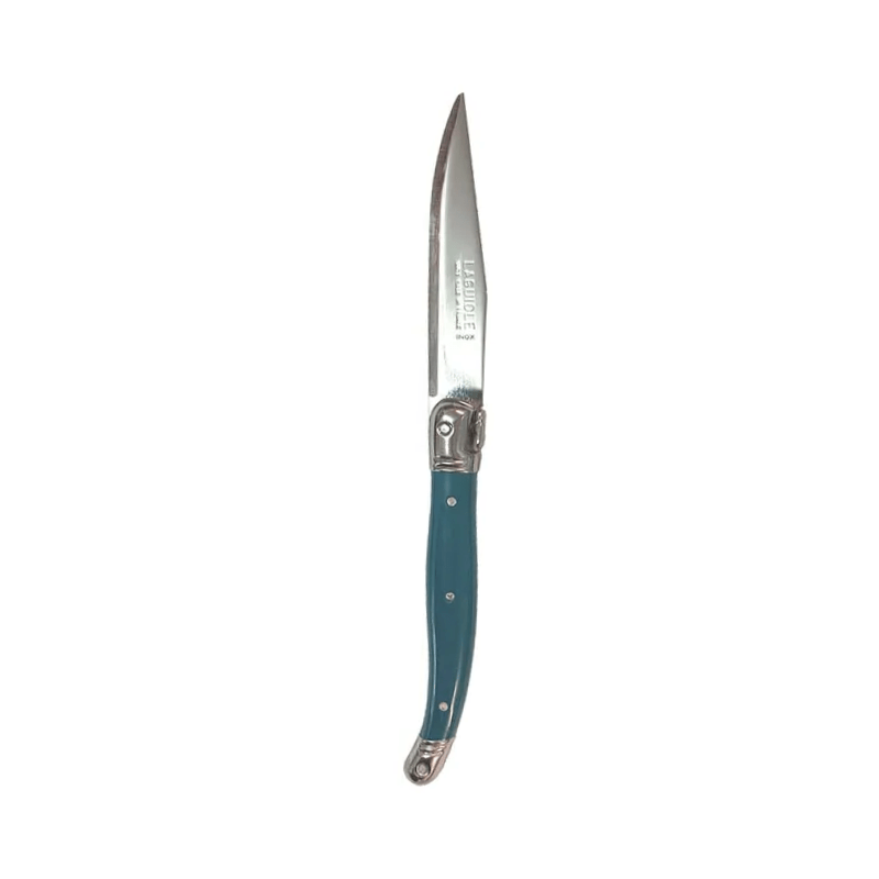 Andre Verdier Laguiole Debutant Fruit Knife Teal