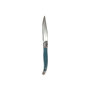 Andre Verdier Laguiole Debutant Fruit Knife Teal