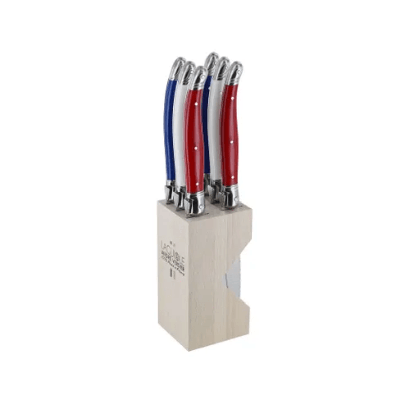 Andre Verdier Laguiole Debutant Knife Block Set Tricolour