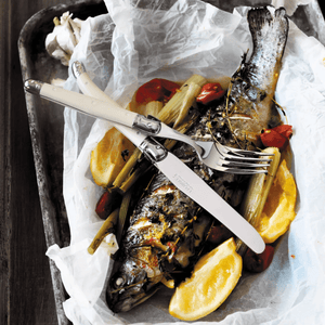 Andre Verdier Laguiole Debutant Table Knife Set of 6 Colours