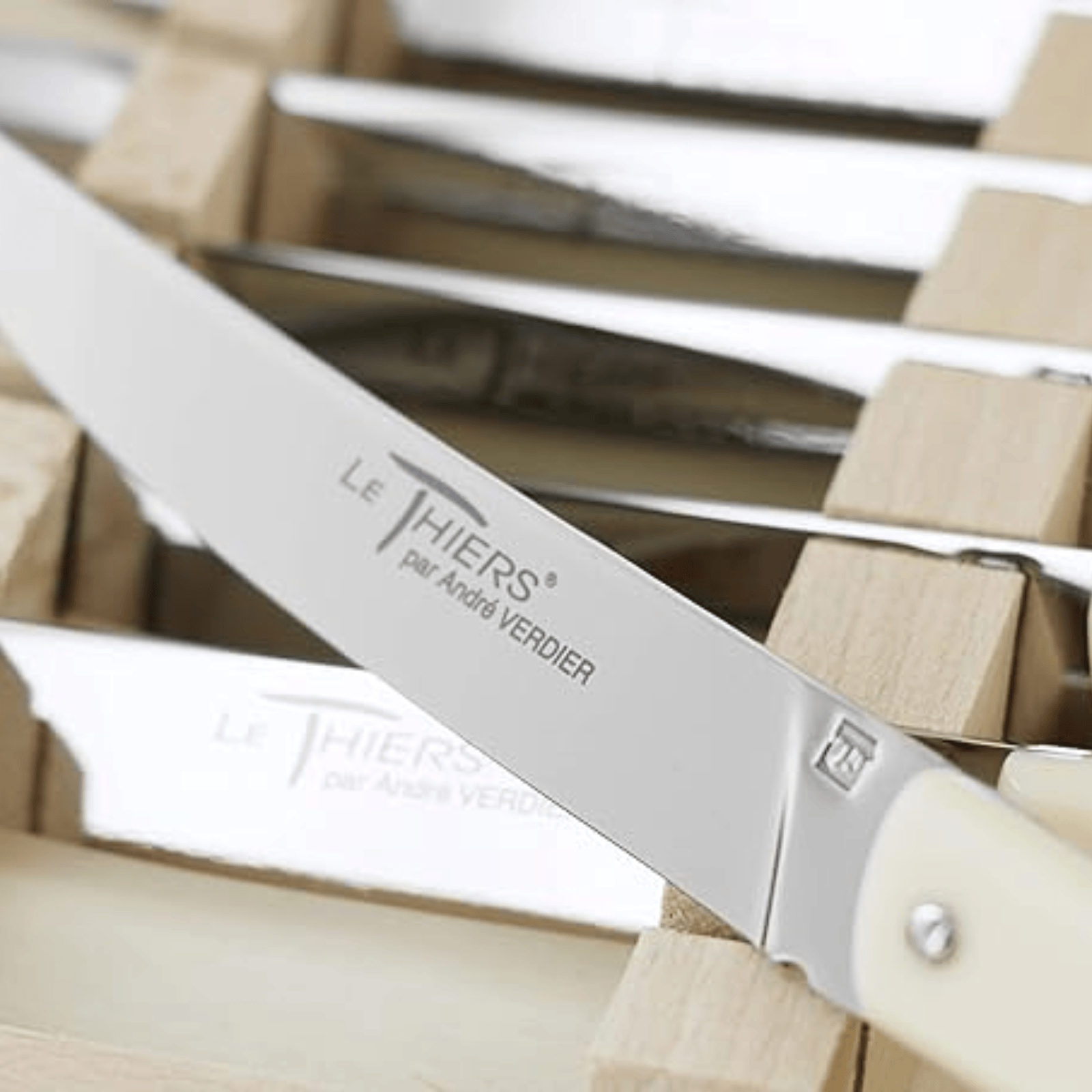 Andre Verdier Le Thiers Elegance Steak Knife Set 6 Piece Assorted