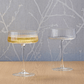 Anton Studio Design Empire Champagne Saucer 250ml Pair of 2