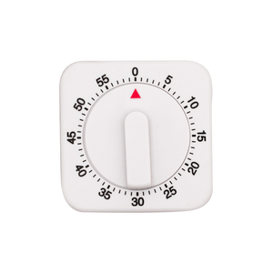 Avanti 60 Minute Mechanical Timer