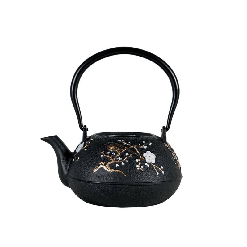 Avanti Cast Iron Cherry Blossom Teapot 1.1L The Homestore Auckland