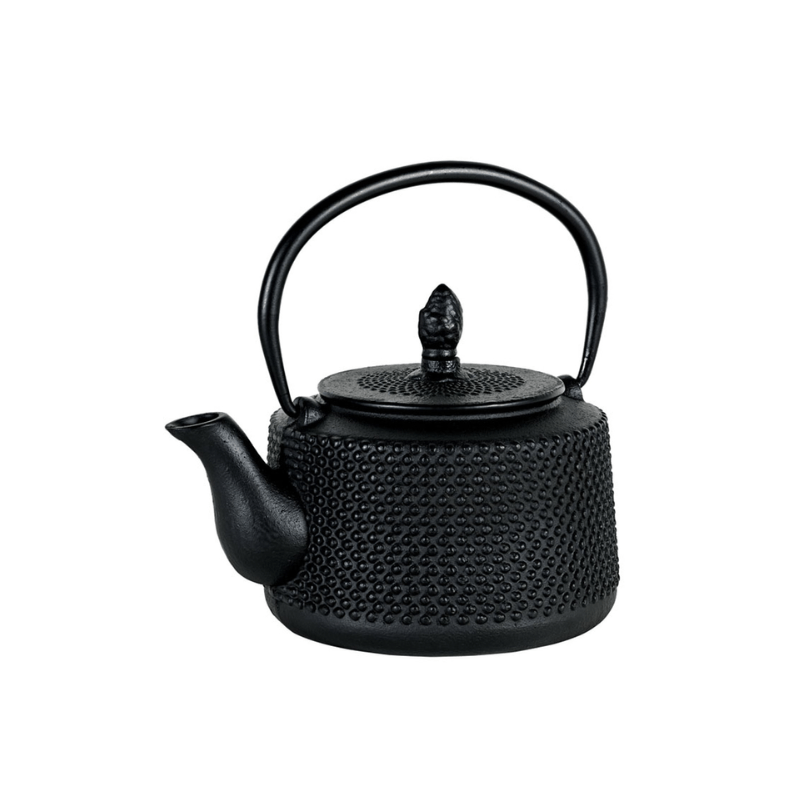 Avanti Emperor Hobnail Cast Iron Teapot 800ml