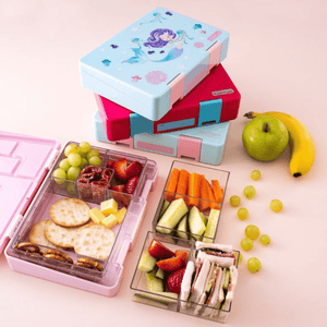 Avanti YumYum Bento Lunch Box Replacement 2-Compartment Insert