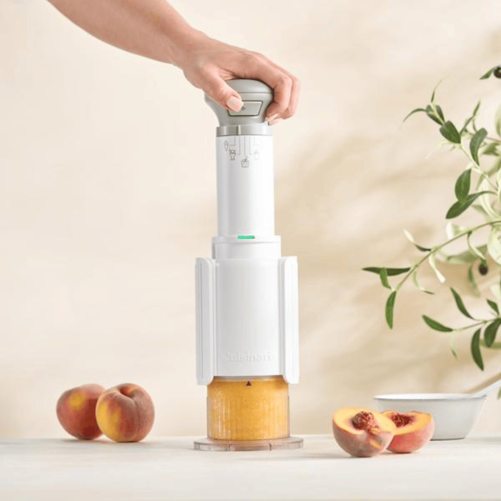 Cuisinart Freeze Wand