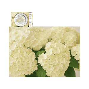Direct Paper Cream Hydrangea Paper Placemats Pack of 30