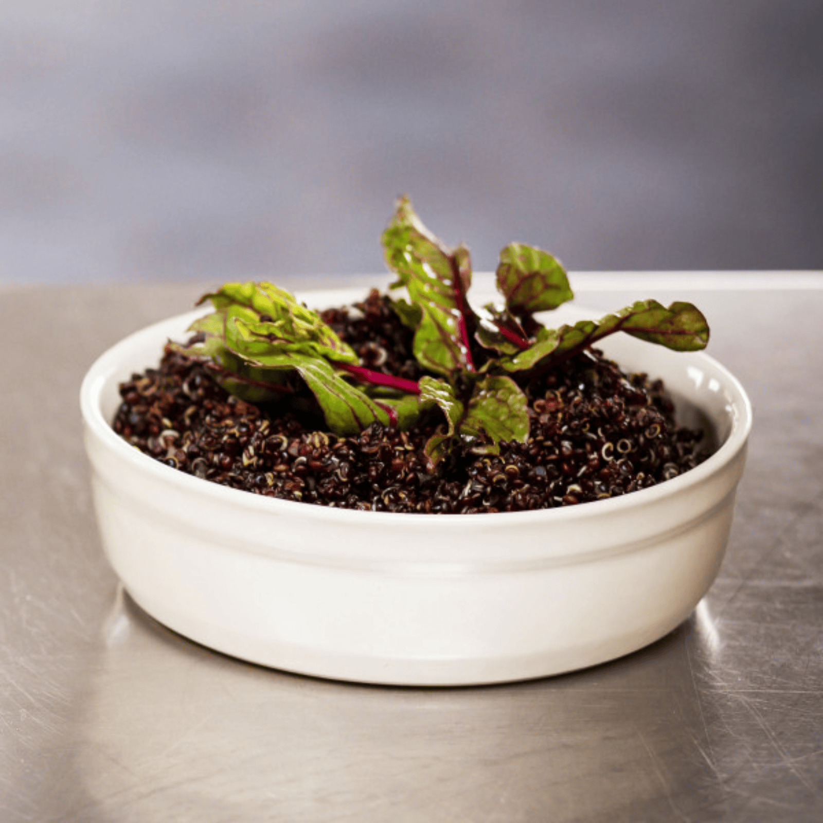 Emile Henry Creme Brulee Ramekin 13cm Clay