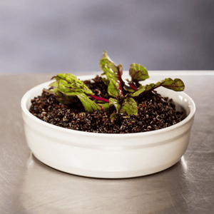 Emile Henry Creme Brulee Ramekin 13cm Clay