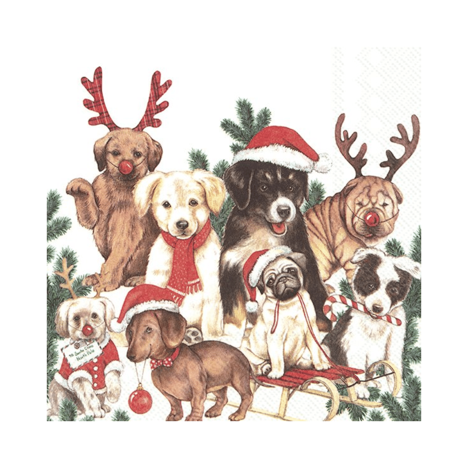 IHR Luncheon Dogs-Mas Napkins Pack of 20
