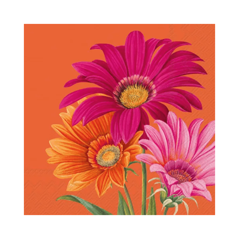 IHR Luncheon Joyful Gerbera Orange Napkins Pack of 20