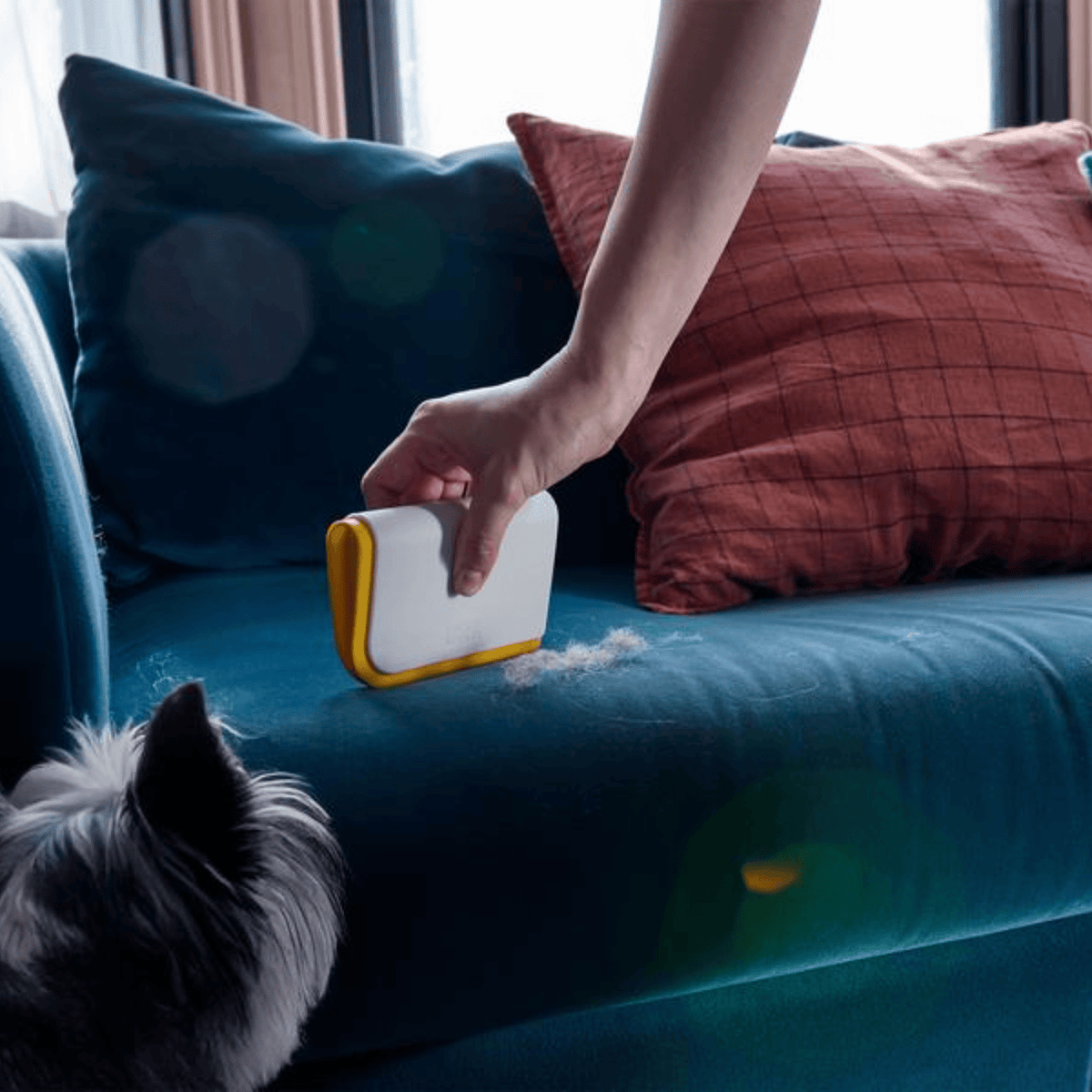 Joseph Joseph CleanTech 3-in-1 Pet Hair Cleaning Tool