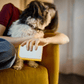 Joseph Joseph CleanTech 3-in-1 Pet Hair Cleaning Tool
