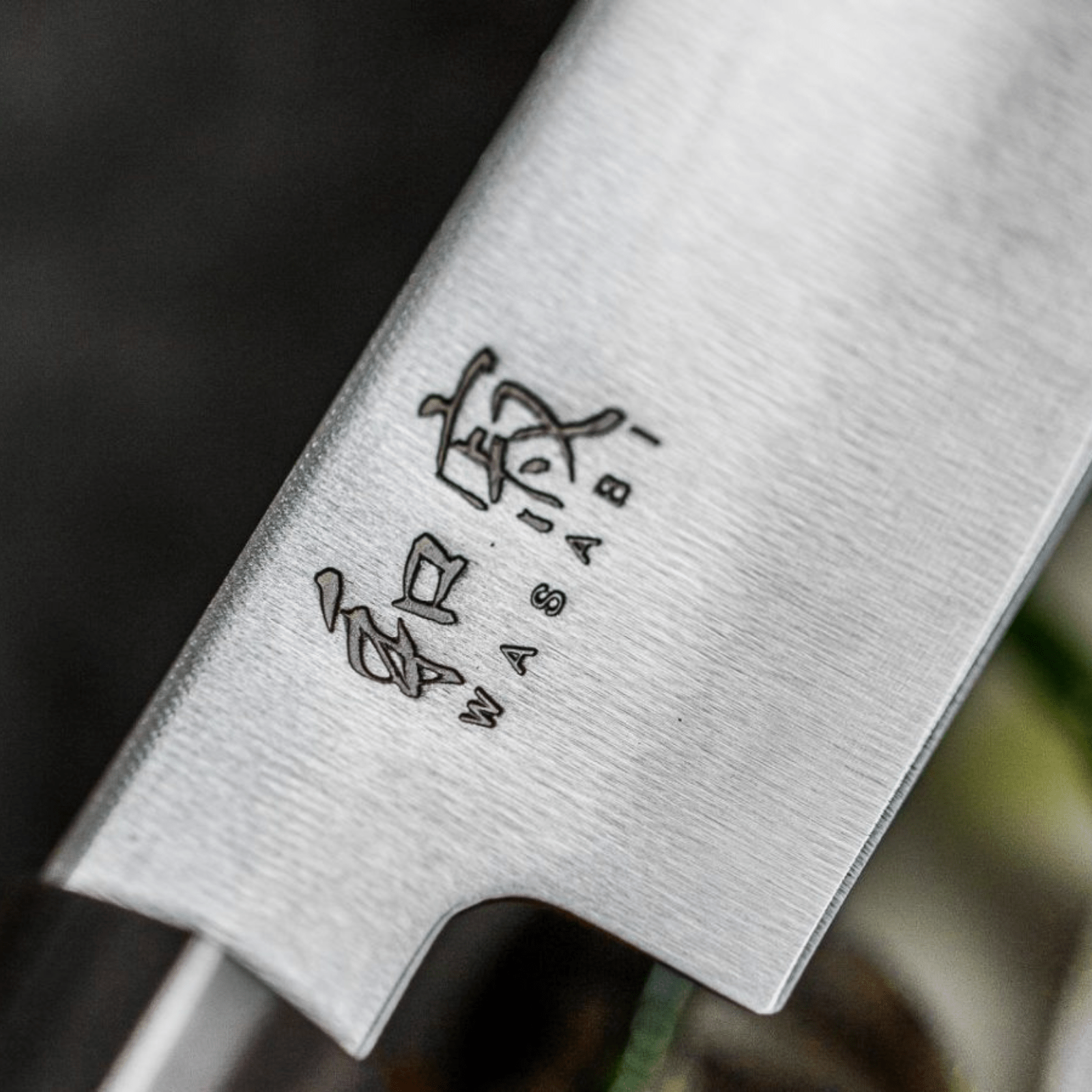 Kai Wasabi Steak Knife Set of 2