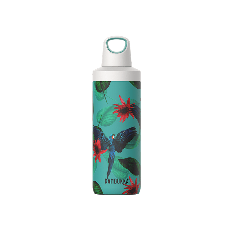 Kambukka Reno Insulated Bottle 500ml Parrots