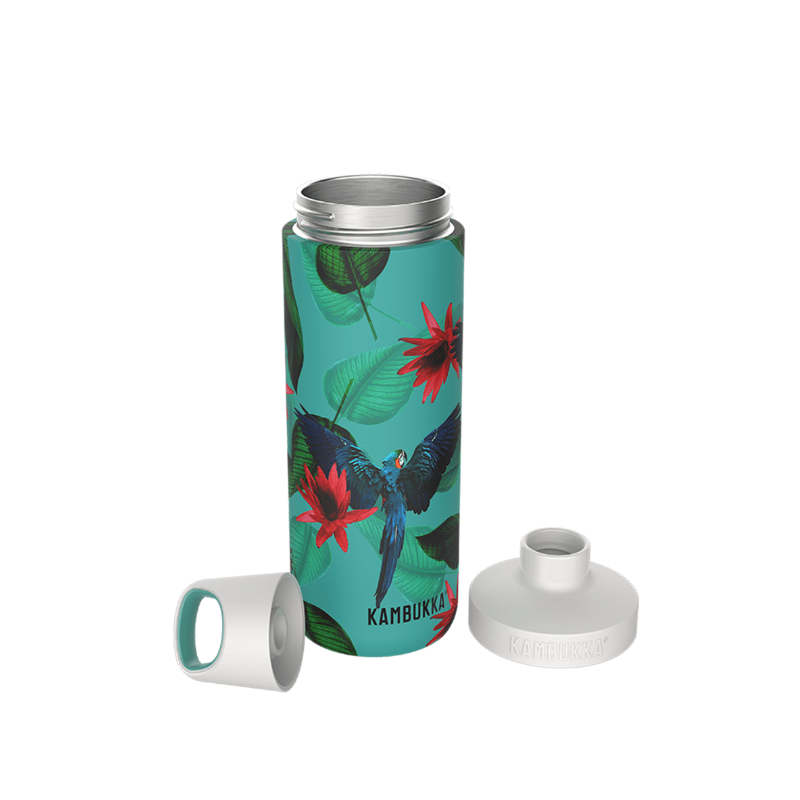 Kambukka Reno Insulated Bottle 500ml Parrots