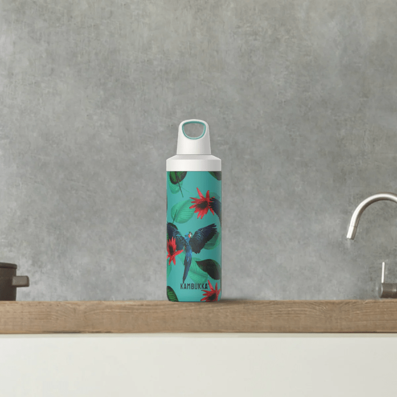 Kambukka Reno Insulated Bottle 500ml Parrots