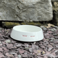 Keith Brymer Jones Dog Bowl - woof woof