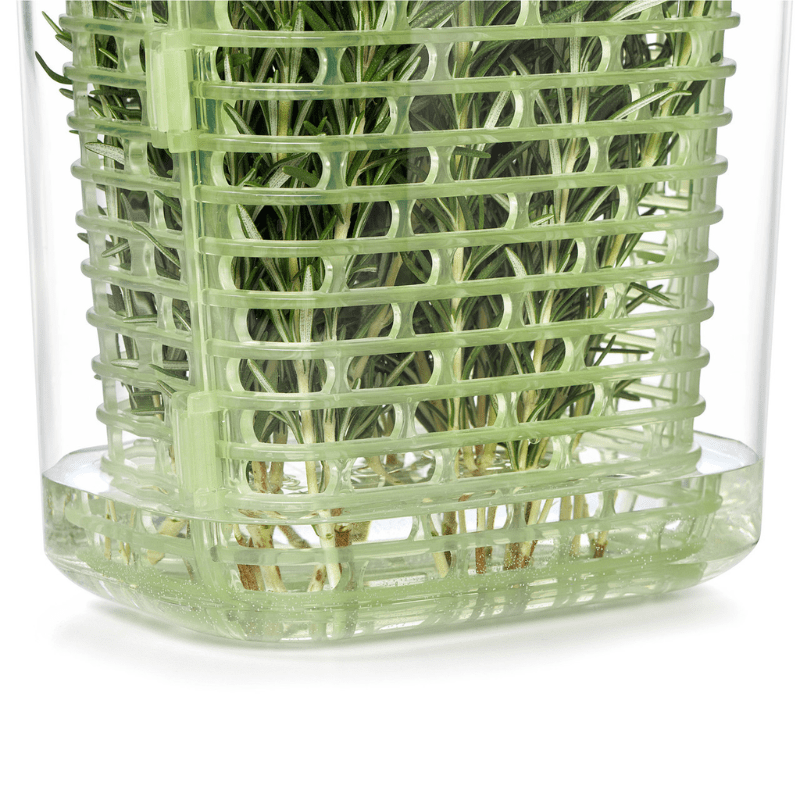 OXO Good Grips GreenSaver Herb Keeper Small