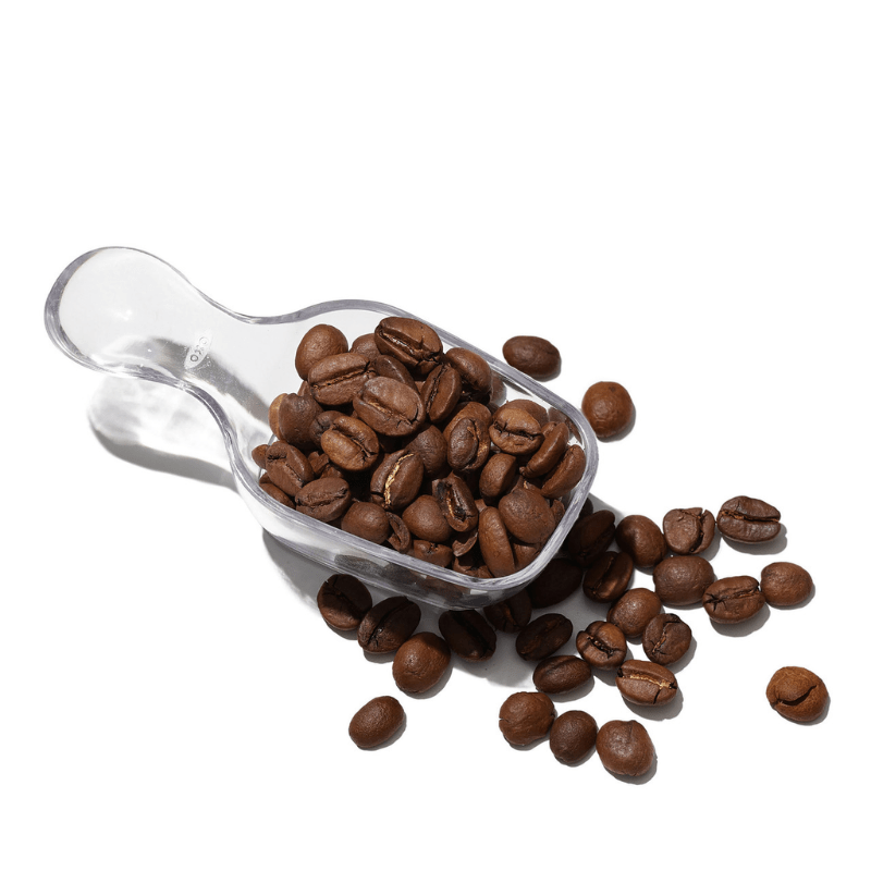 OXO Good Grips POP Accessories Coffee Scoop