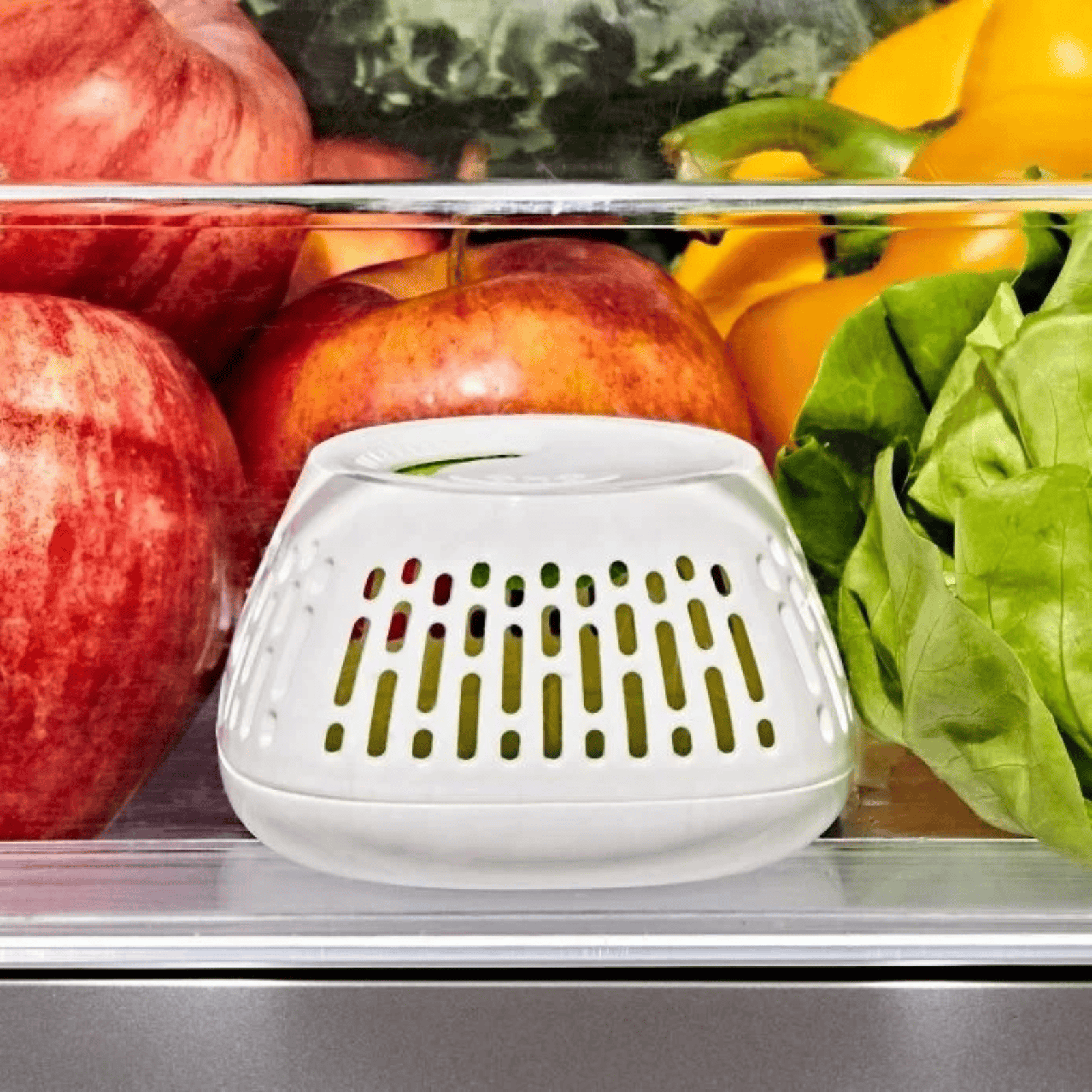 OXO Good Grips Produce Saver Crisper Insert 2 Pack