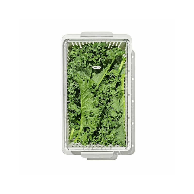 OXO Good Grips Produce Saver Medium Bin