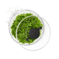 OXO Good Grips Salad Spinner