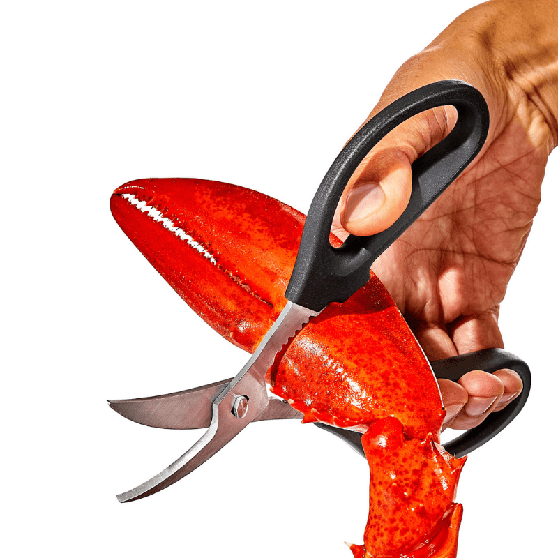 OXO Good Grips Seafood Scissors The Homestore Auckland