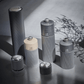 Peugeot Line Aluminium & Graphite Wood Salt Mill 18cm