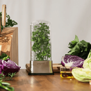Prepara Herb Savor Stainless Steel