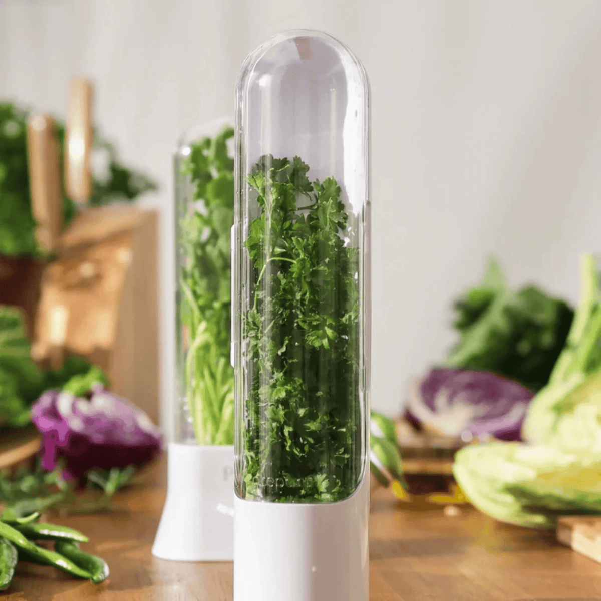 Prepara Salad Pod Starter Set Bundle