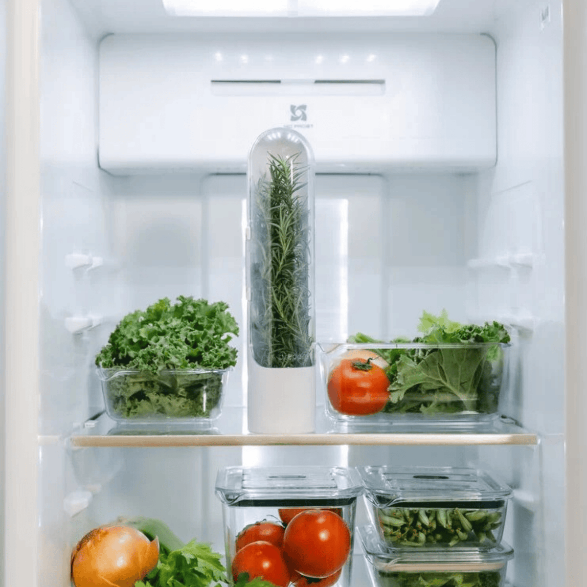 Prepara Salad Pod Starter Set Bundle